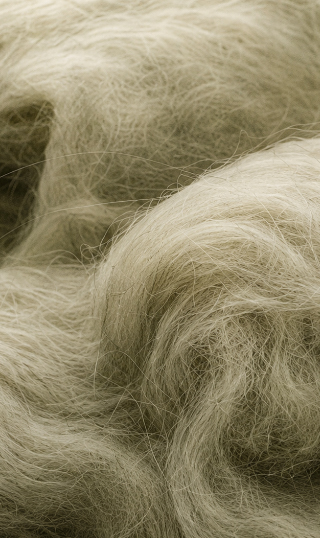 Merino Wool